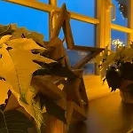 Dottie's Place * Winterberg