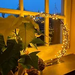 Dottie's Place Διαμέρισμα *
