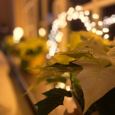 Dottie's Place Διαμέρισμα *