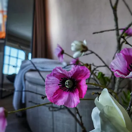 Dottie's Place Apartamento Winterberg