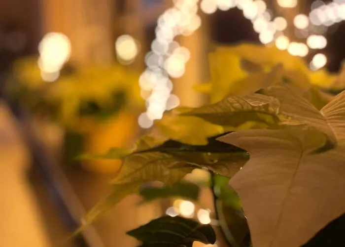 Dottie's Place Διαμέρισμα *