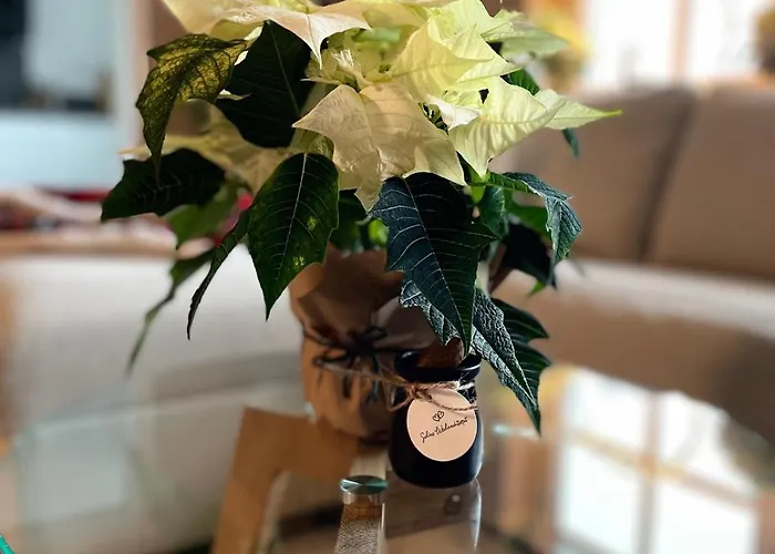 Dottie's Place Βίντερμπεργκ