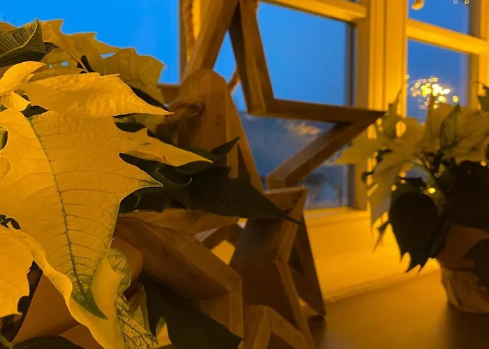 Dottie's Place * Βίντερμπεργκ