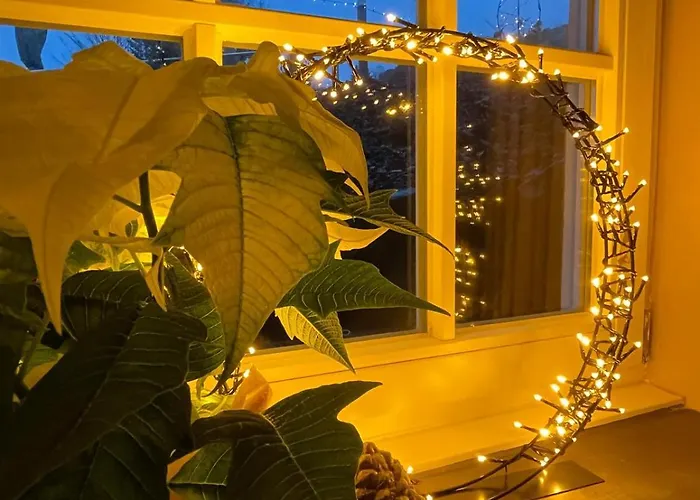 Dottie's Place Διαμέρισμα *