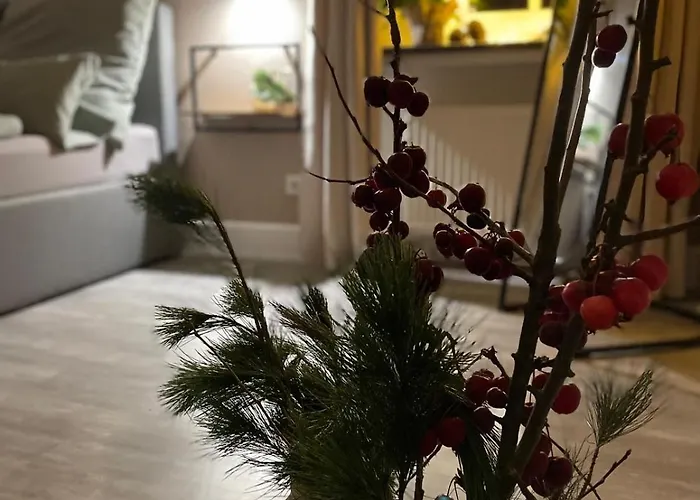 Dottie's Place * Βίντερμπεργκ